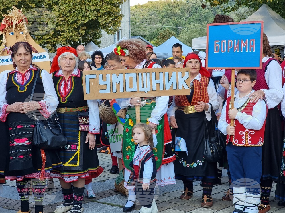 Троян - Български фестивал на сливата