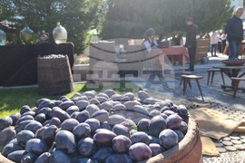 Троян - Български фестивал на сливата