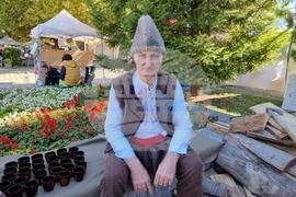 Троян - Български фестивал на сливата