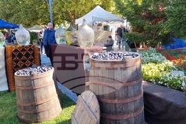 Троян - Български фестивал на сливата