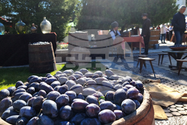 Троян - Български фестивал на сливата