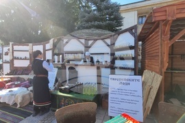 Троян - Български фестивал на сливата