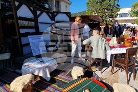 Троян - Български фестивал на сливата