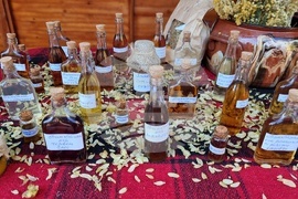 Троян - Български фестивал на сливата