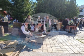 Троян - Български фестивал на сливата