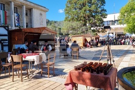 Троян - Български фестивал на сливата