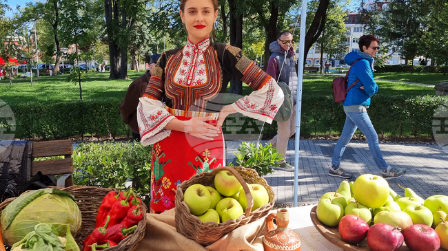 Зеленчуците, плодовете и киселото мляко са с най-голям дял в здравословното меню на българина, по данни на НСИ