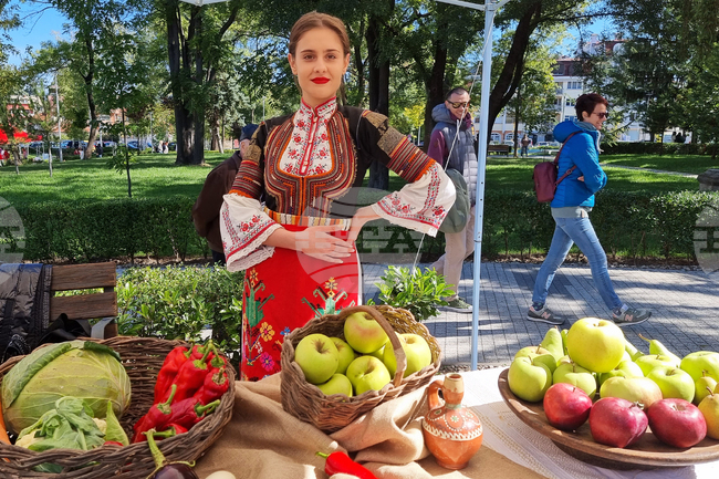 Зеленчуците, плодовете и киселото мляко са с най-голям дял в здравословното меню на българина, по данни на НСИ