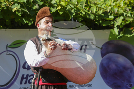 Троян - Български фестивал на сливата