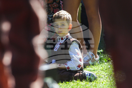 Троян - Български фестивал на сливата