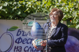 Троян - Български фестивал на сливата