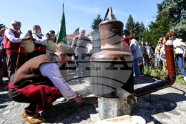 Троян - Български фестивал на сливата