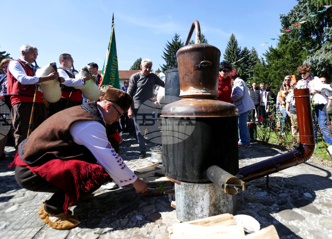 Троян - Български фестивал на сливата