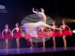 Снимка: Община Сливен