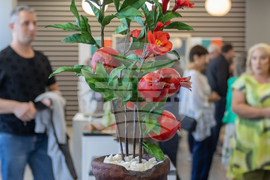 Габрово - изложба „От Месамбрия до Несебър“