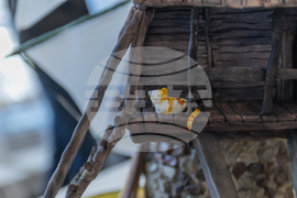 Габрово - изложба „От Месамбрия до Несебър“