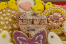 Габрово - изложба „От Месамбрия до Несебър“