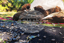 Село Генерал Инзово - Панаир на традициите и занаятите