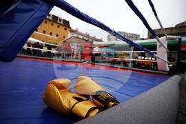 Централен софийски затвор - турнир по бокс