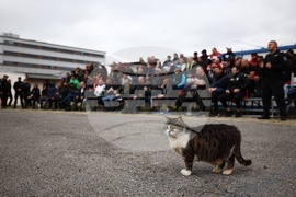 Централен софийски затвор - турнир по бокс