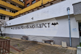 Чепеларе - изложба на гигантски охлюви