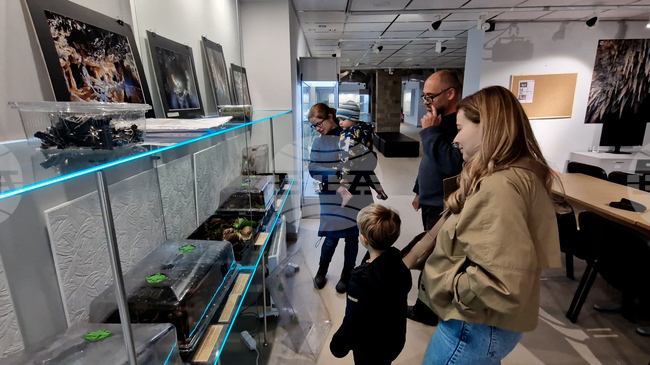 Чепеларе - изложба на гигантски охлюви