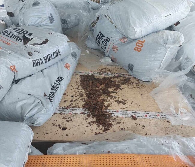 МВР: Независимо от изобретателността на трафикантите, гранични полицаи на ГКПП „Видин“ разкриха тайник в товарен автомобил и задържаха 33-ма чужди граждани