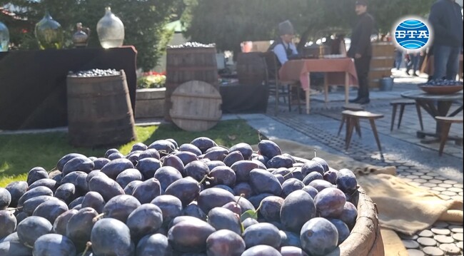 Възстановка "Троянецът - войник и сливопроизводител“ беше представена във втория ден на Българския фестивал на сливата в Троян