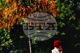 Хубаво време