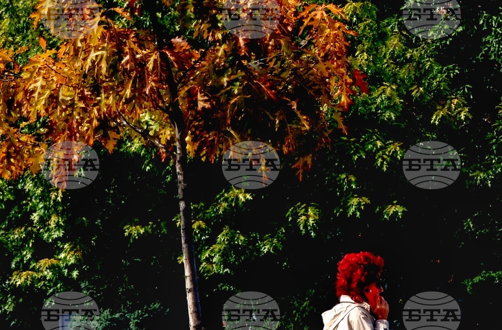 Хубаво време