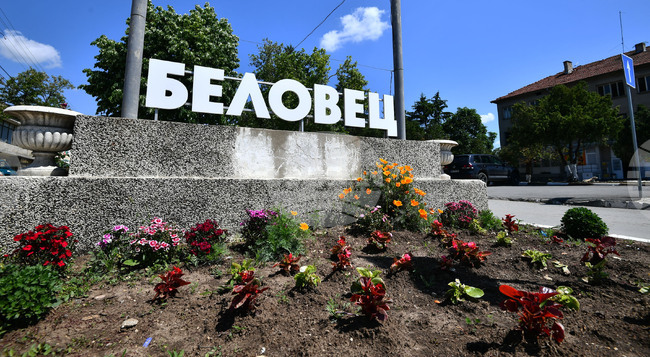 Село Беловец - благоустрояване - пролетни цветя