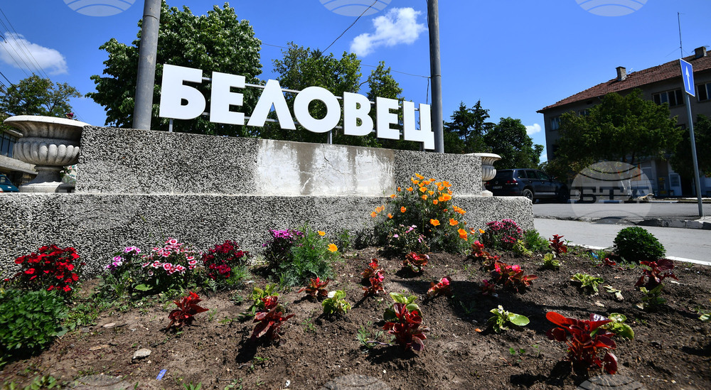 Село Беловец - благоустрояване - пролетни цветя