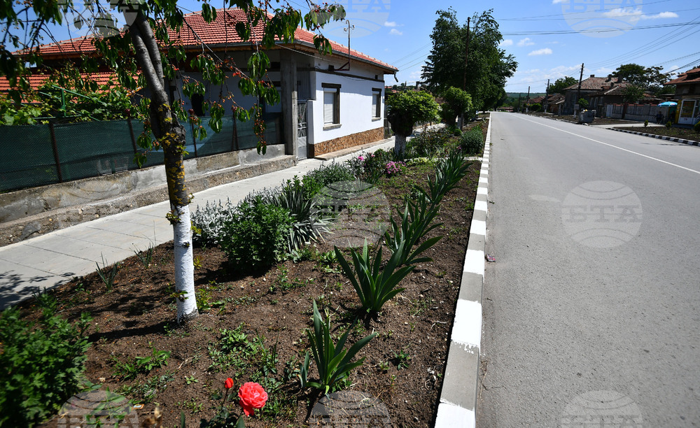 Село Беловец - благоустрояване - пролетни цветя