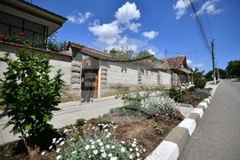 Село Беловец - благоустрояване - пролетни цветя