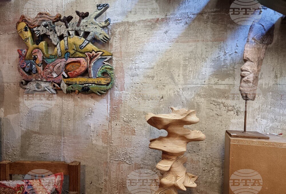 Варна - Станислав Станчев - изложба „Синята планета“