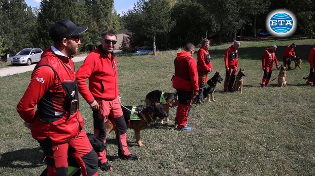 България е на едно от водещите места в Европа при обучението на кучета спасители, каза Сергей Цветков от Планинската спасителна служба