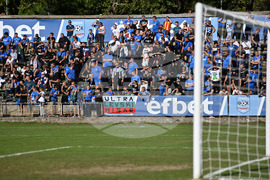 Карлово - Левски (София) и Левски (Карлово) - благотворителен мач