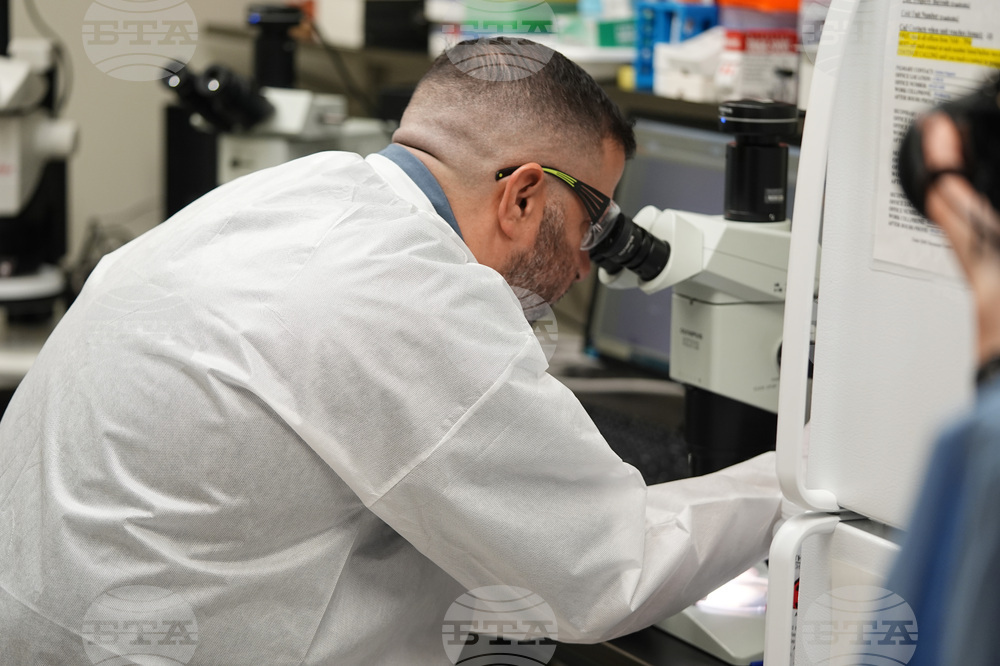 Учени създадоха генномодифицирани молци, които могат да заменят гризачите в изследванията върху антимикробната резистентност