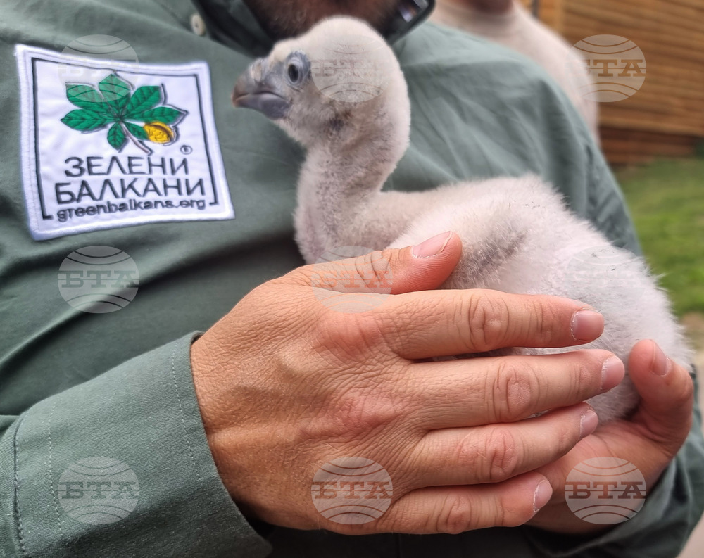 Спасителен център „Зелени Балкани“ организира две кампании в подкрепа на пациентите си