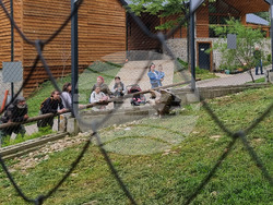 Стара Загора - зоопарк - белоглав лешояд