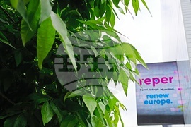 Румъния - Предизборни плакати