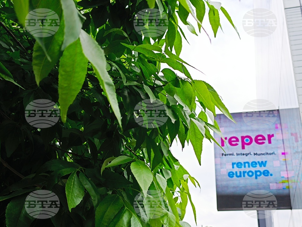 Румъния - Предизборни плакати