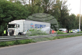 Русе - пътнотранспортно произшествие