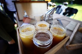 Фестивал „Денят на пчелите“