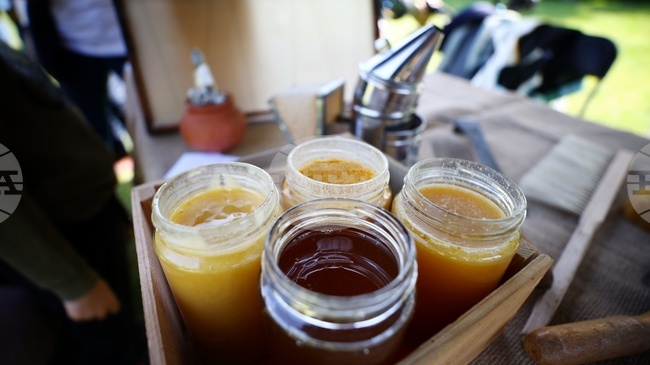 Хърватската митница задържа микробус с 1500 буркана недеклариран мед – пчеларите алармират за мащабни измами