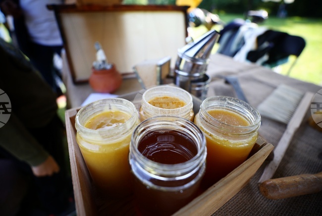 Хърватската митница задържа микробус с 1500 буркана недеклариран мед – пчеларите алармират за мащабни измами