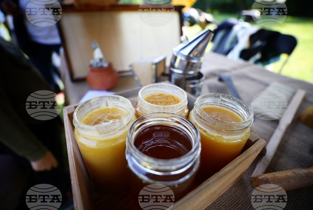 Фестивал „Денят на пчелите“