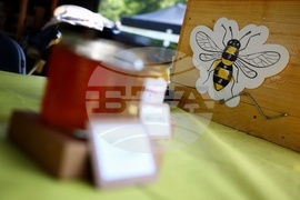 Фестивал „Денят на пчелите“