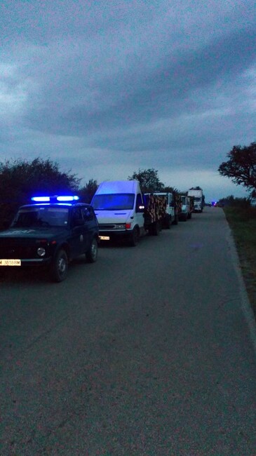 Съставени са повече от 660 акта за нарушения на горското законодателство от началото на септември