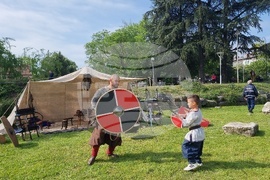 Стара Загора - фестивал - „Августа Траяна до Боруй“